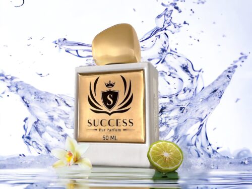 Success Pur Parfum Silver Musk