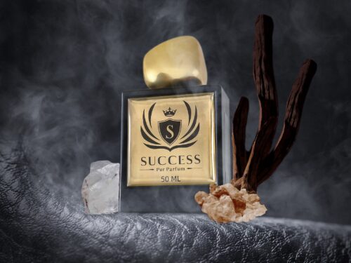 Success Pur Parfum Lumière
