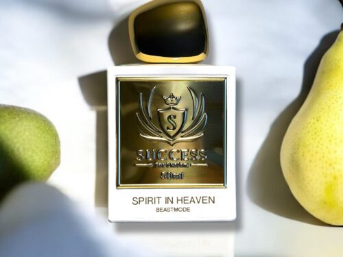 Success Pur Parfum Spirit in Heaven