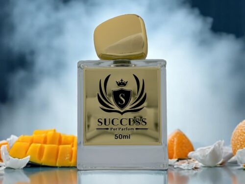 Success Pur Parfum Gamebreaker